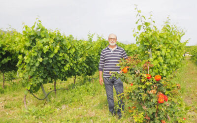 Jose Antonio Dólera, Finca Mont Roig: «Nuestros vinos son singulares por ser naturales y por la elección del varietal chardonnay, una excepcionalidad en la comarca»