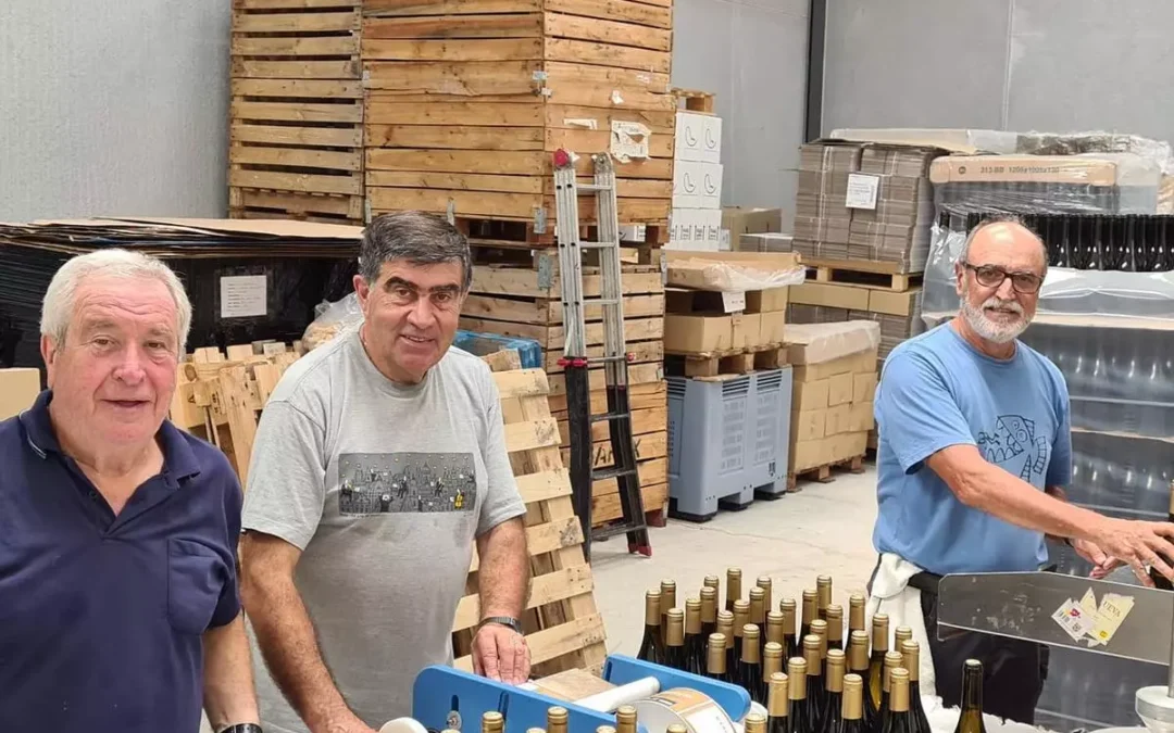 Viticultura en Pedreguer contra el cambio climático y que rescata márgenes de «pedra seca»
